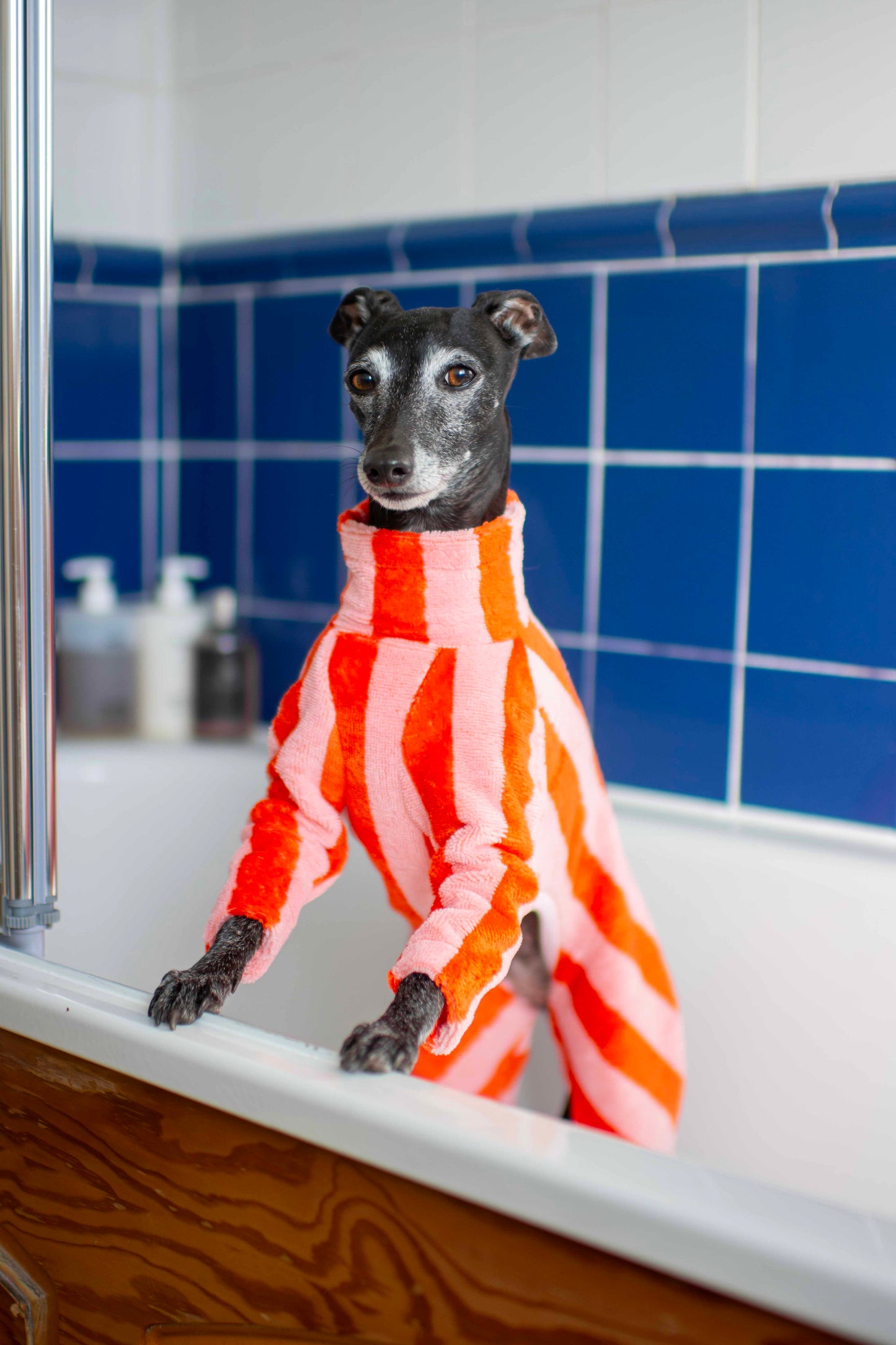 Towelling Onesies
