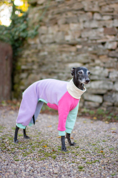 ColourBlock Sweatshirt Range