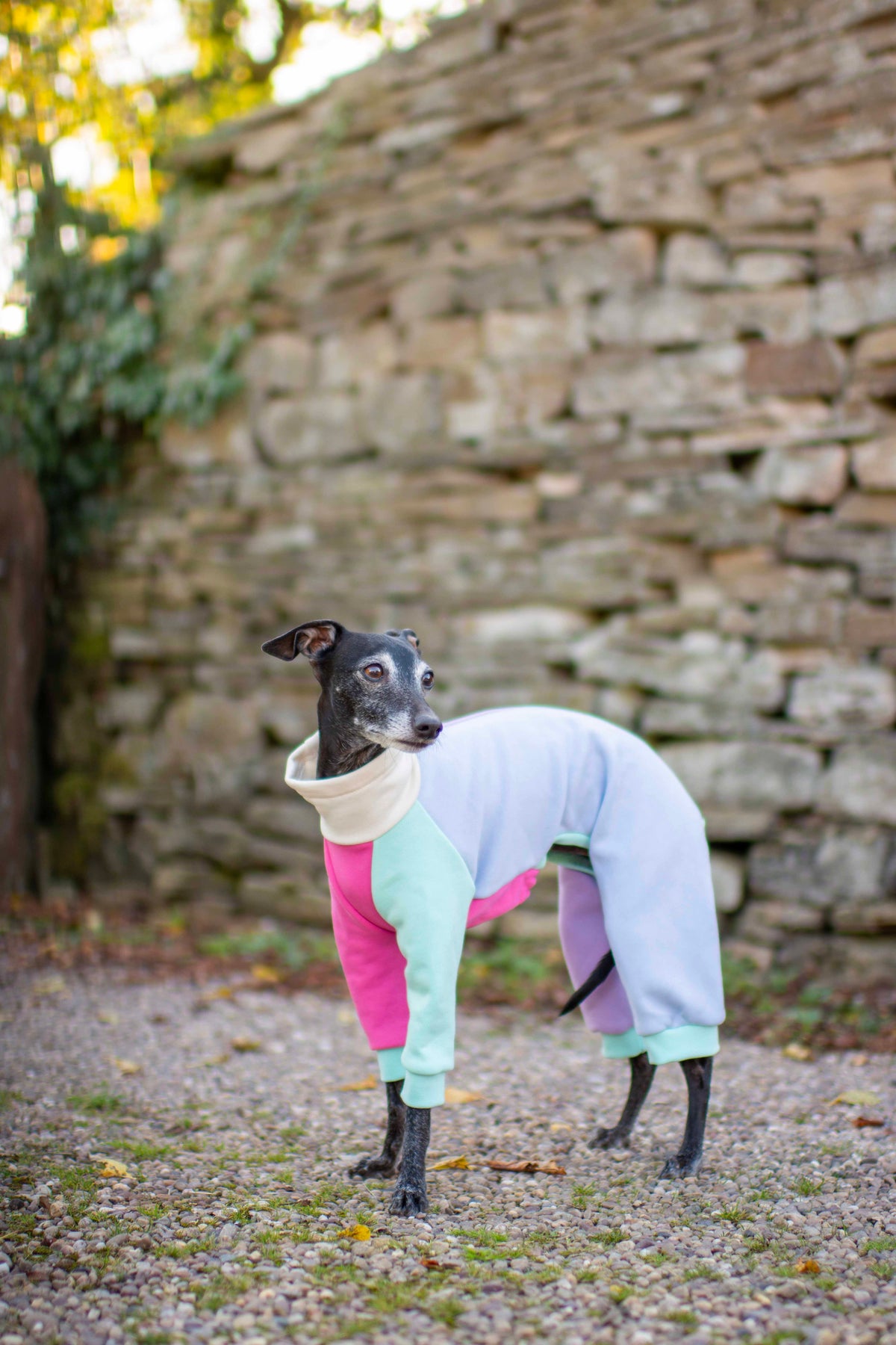 ColourBlock Sweatshirt Range