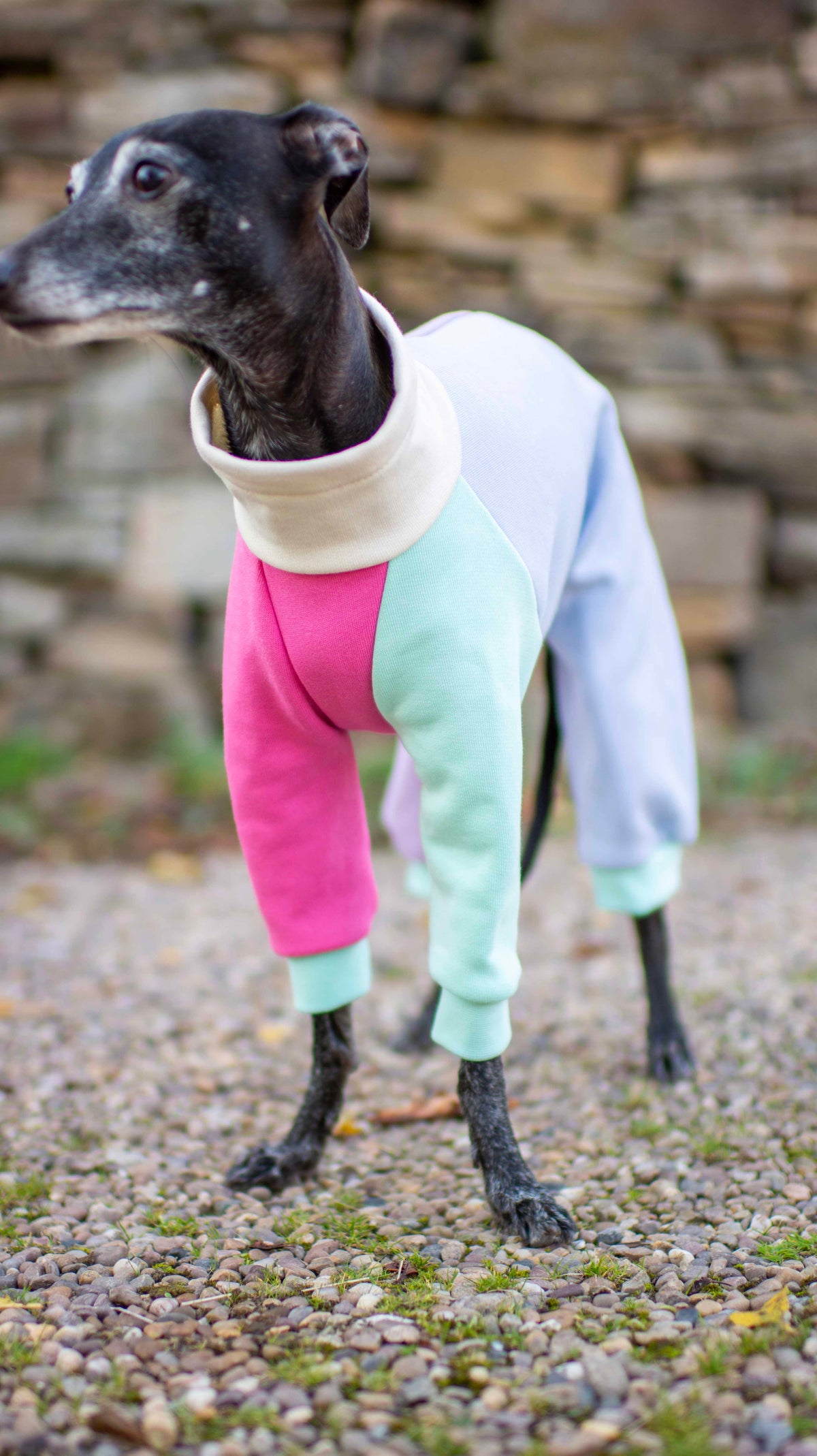 ColourBlock Sweatshirt Range