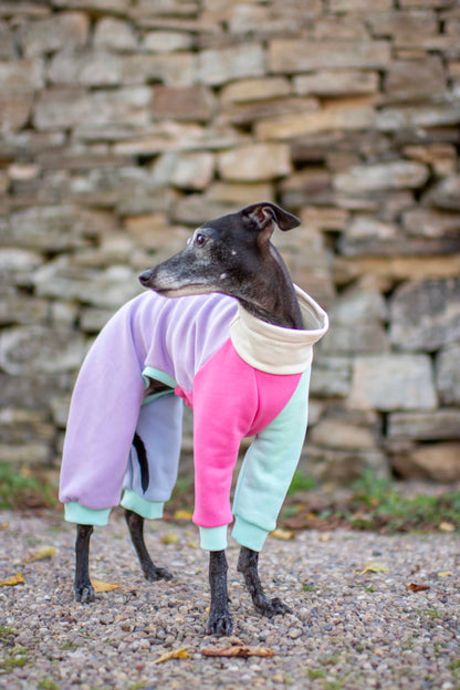 ColourBlock Sweatshirt Range