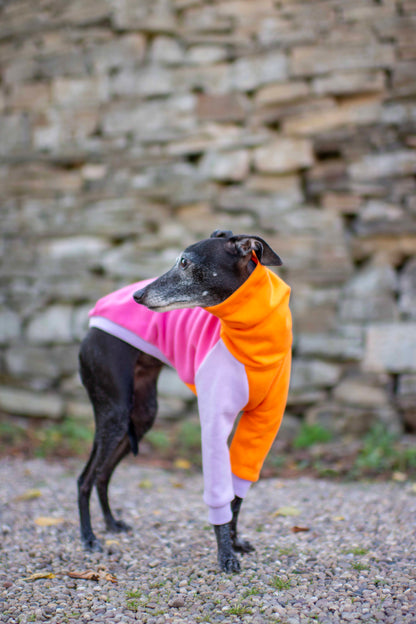 ColourBlock Sweatshirt Range
