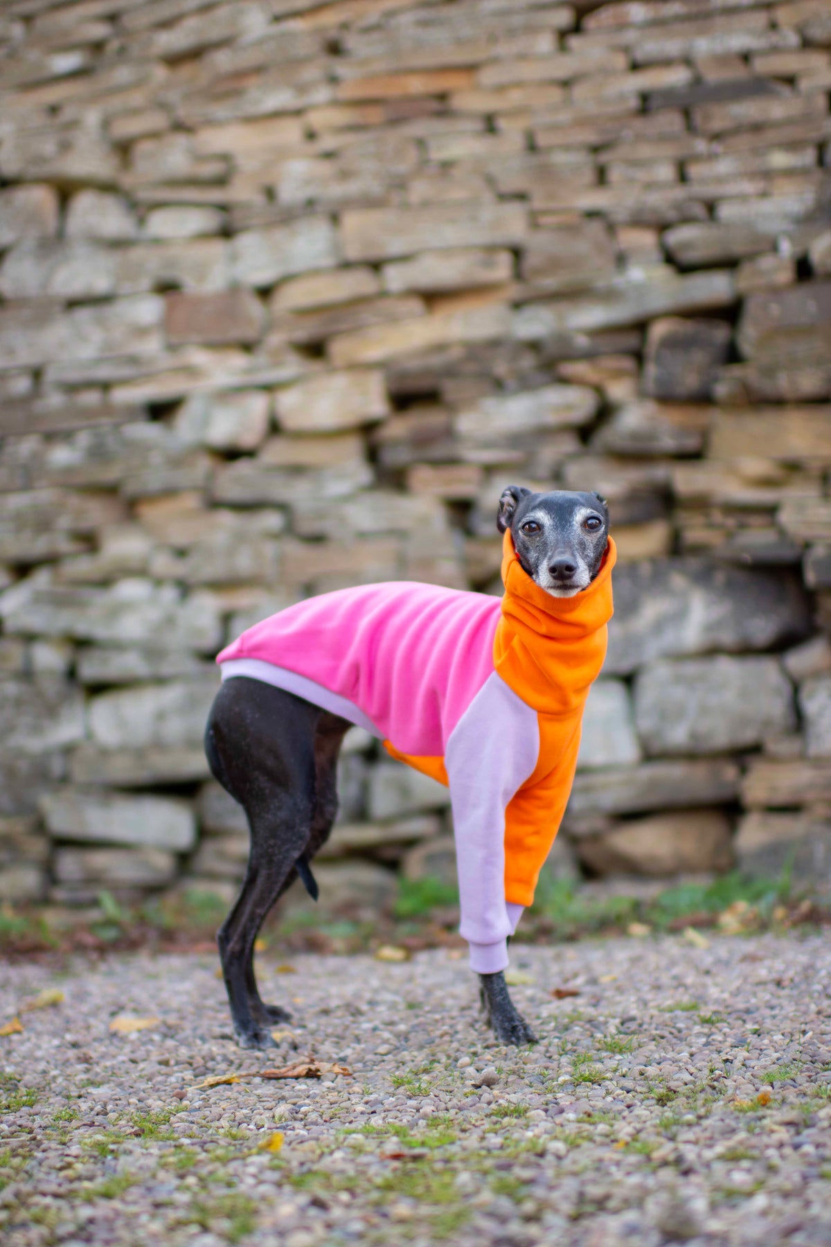 ColourBlock Sweatshirt Range