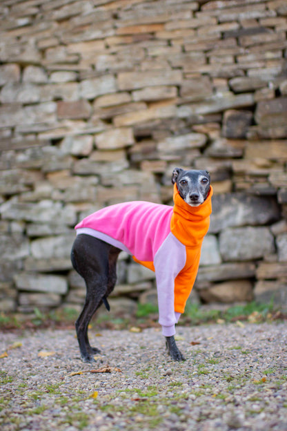 ColourBlock Sweatshirt Range