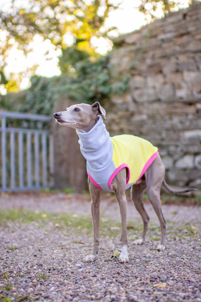 ColourBlock Sweatshirt Range