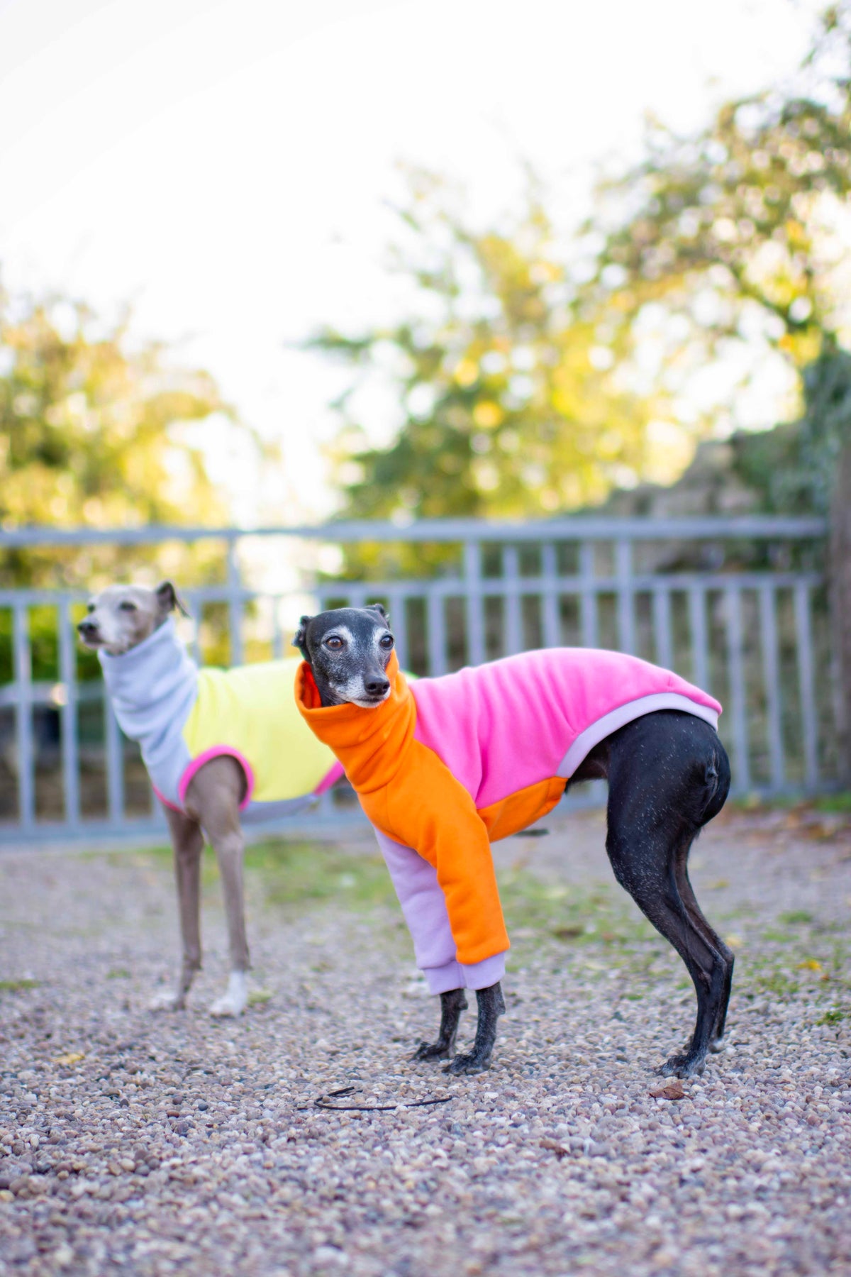 ColourBlock Sweatshirt Range
