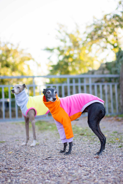 ColourBlock Sweatshirt Range