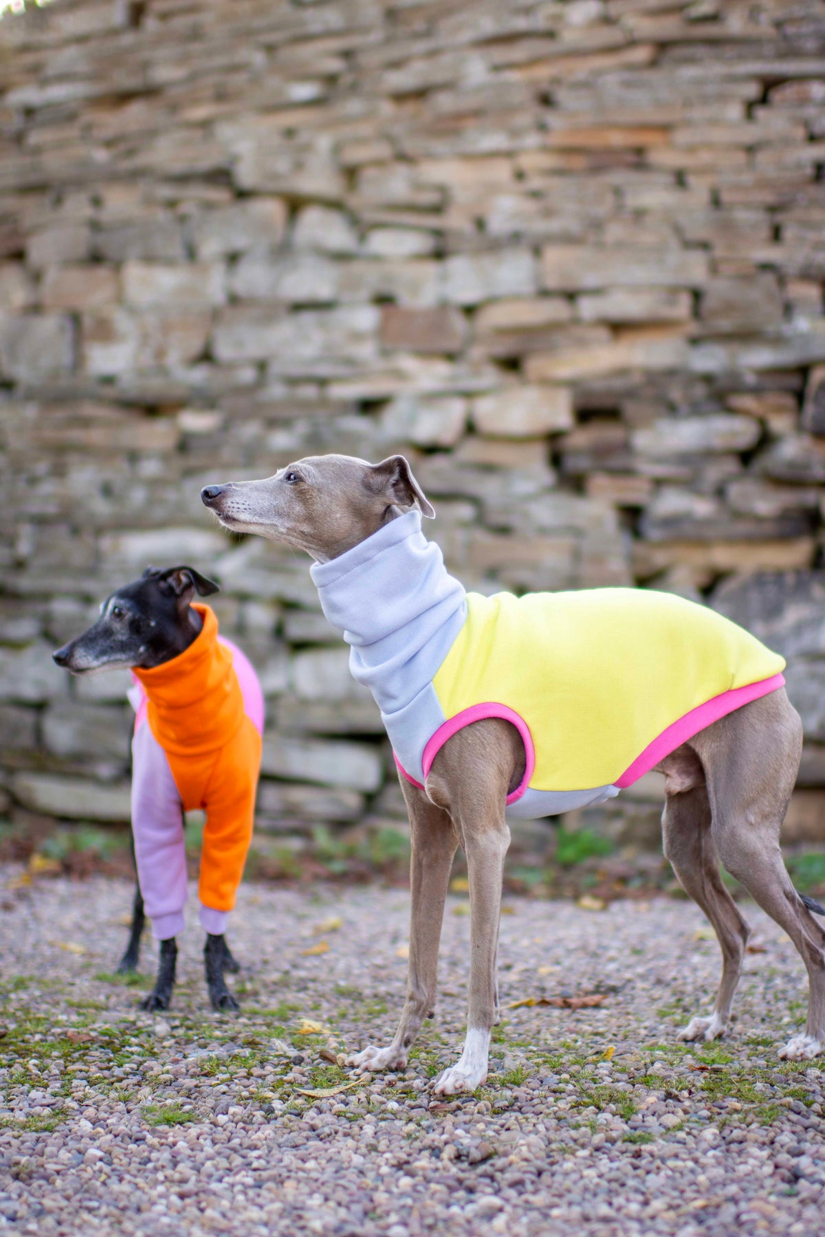 ColourBlock Sweatshirt Range