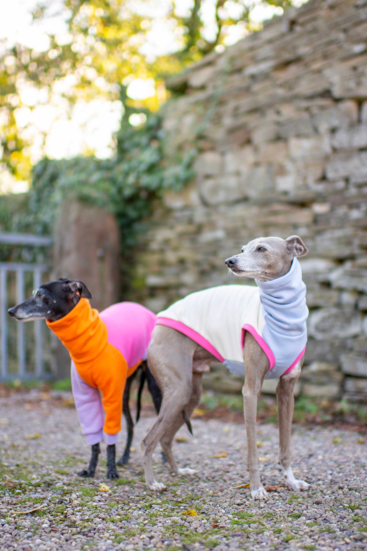 ColourBlock Sweatshirt Range