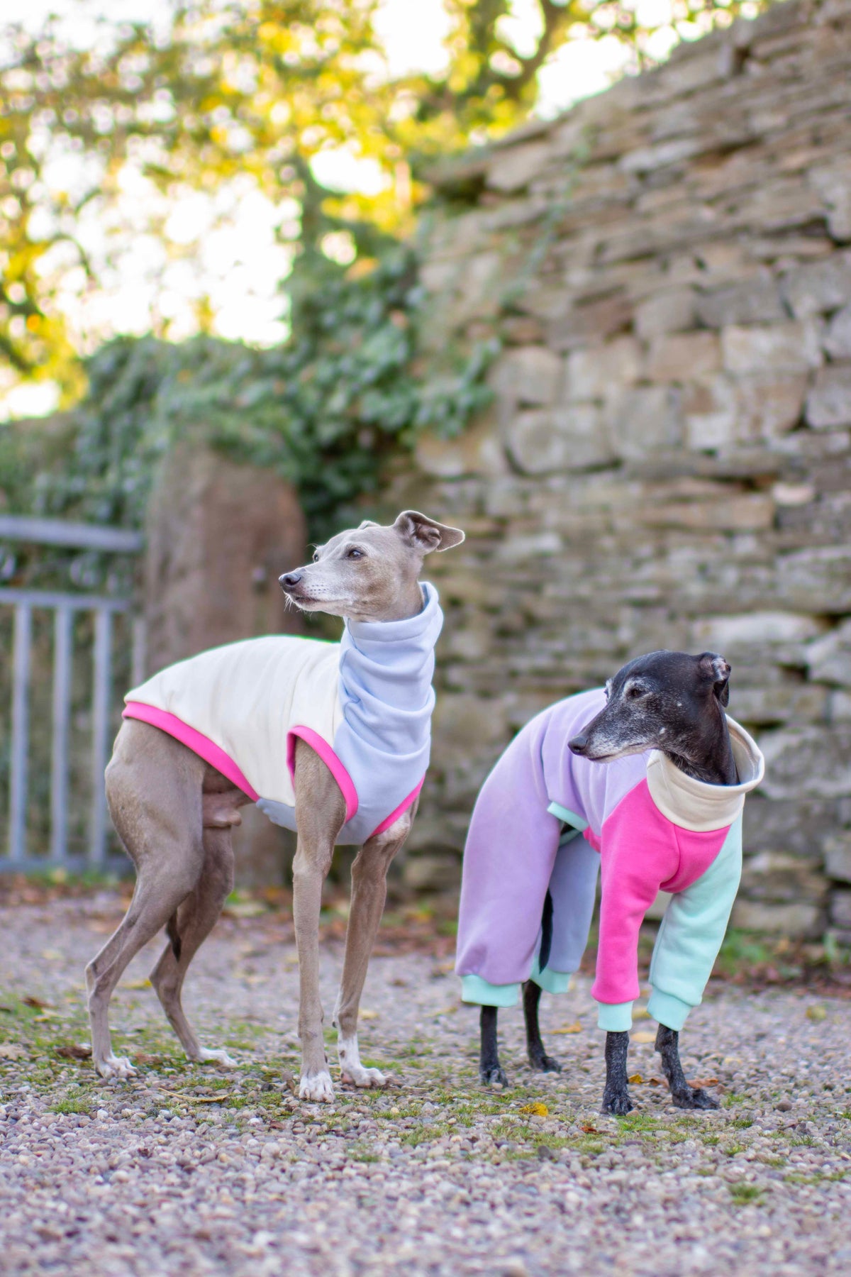 ColourBlock Sweatshirt Range