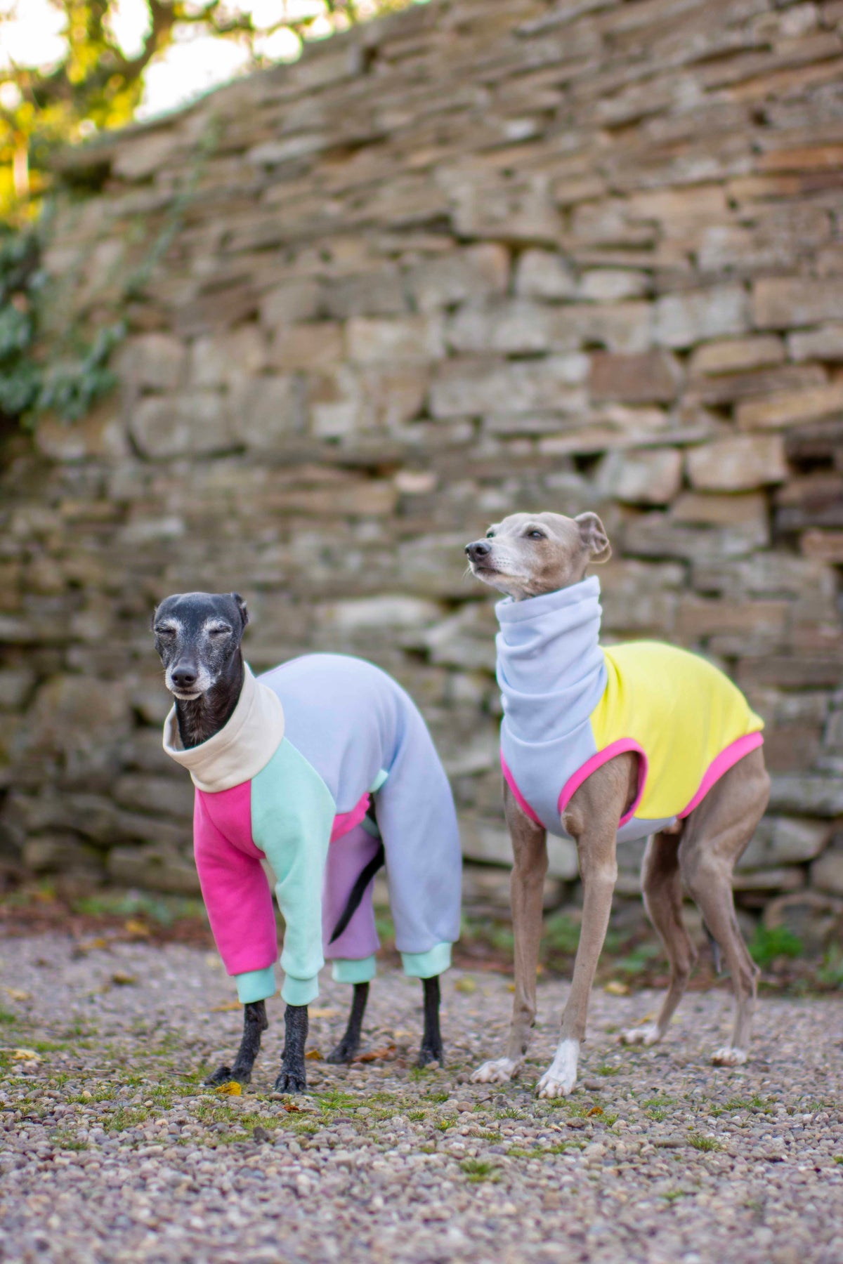 ColourBlock Sweatshirt Range