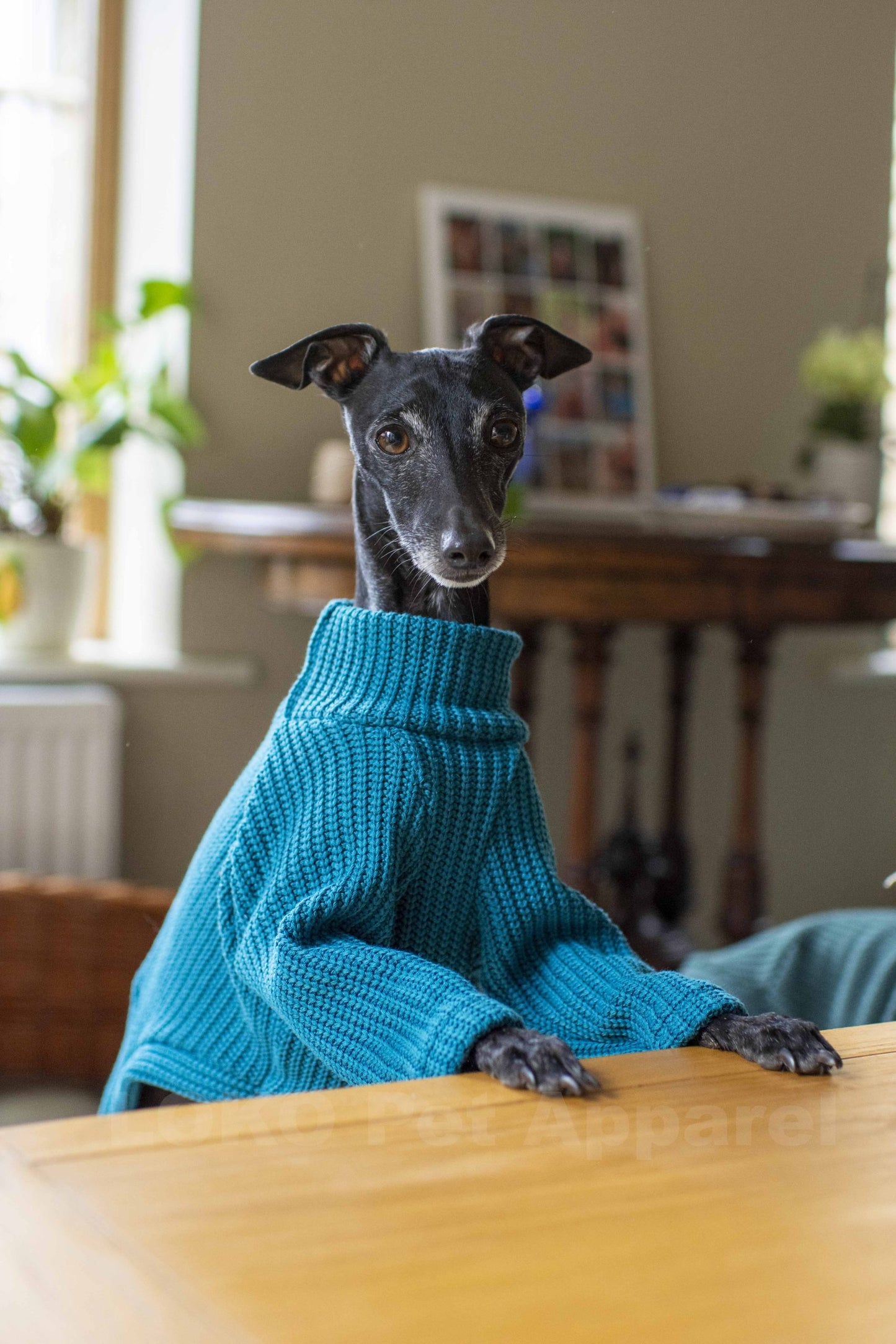 Chunky Knit Jumper