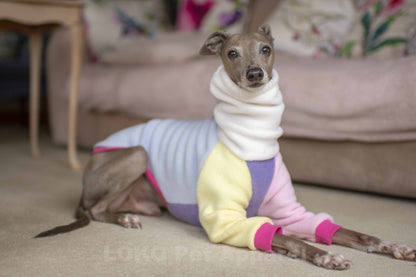 Colour Block Jumper