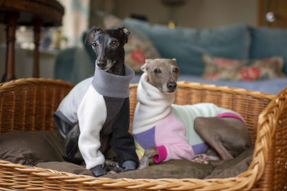 Colour Block Jumper