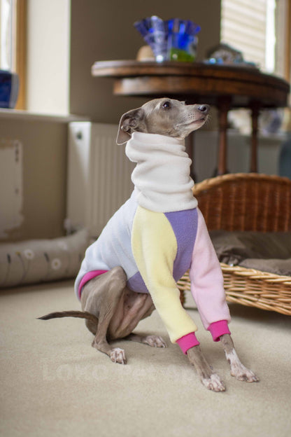 Colour Block Jumper