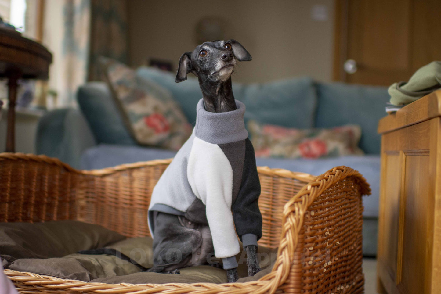 Colour Block Jumper