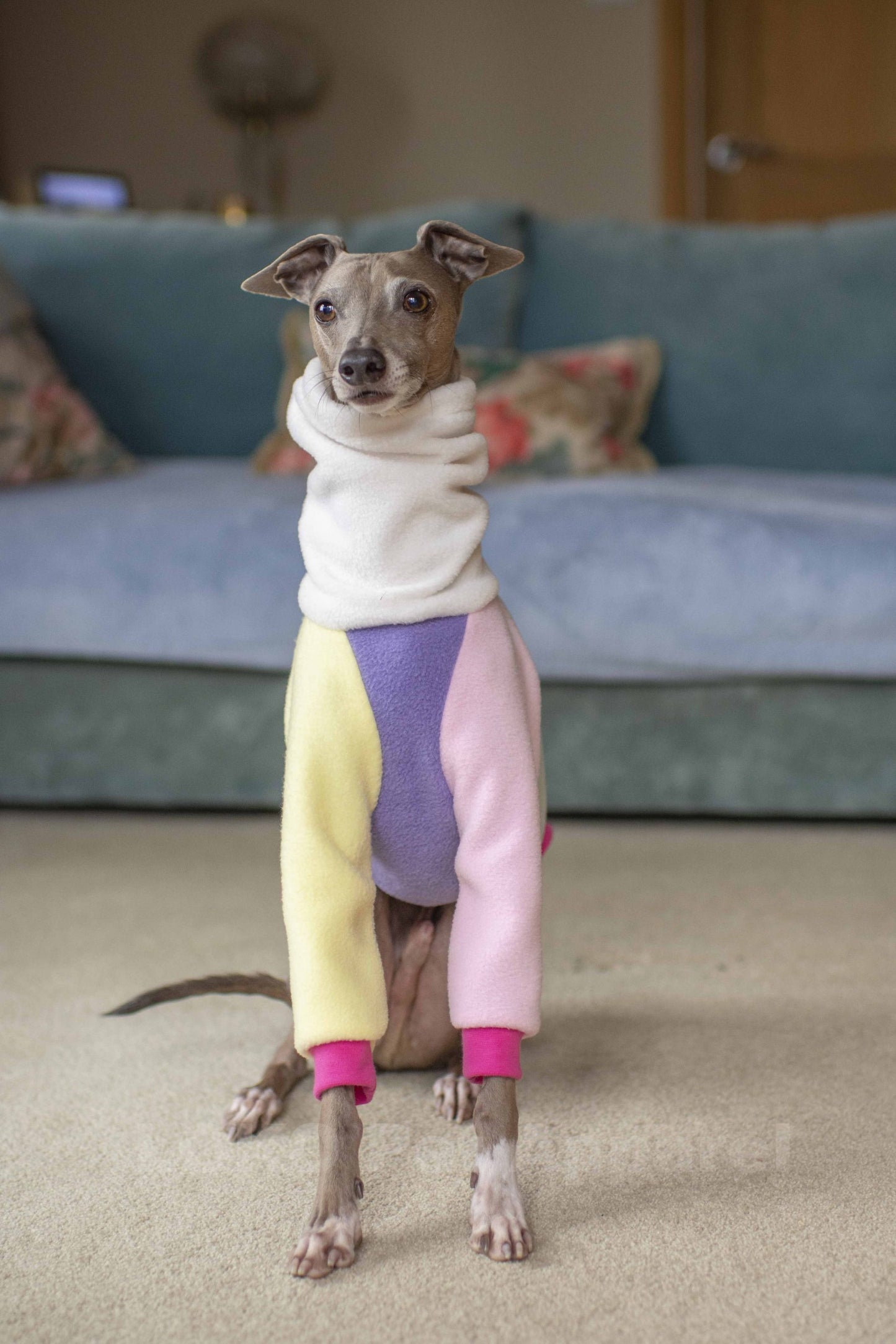 Colour Block Jumper