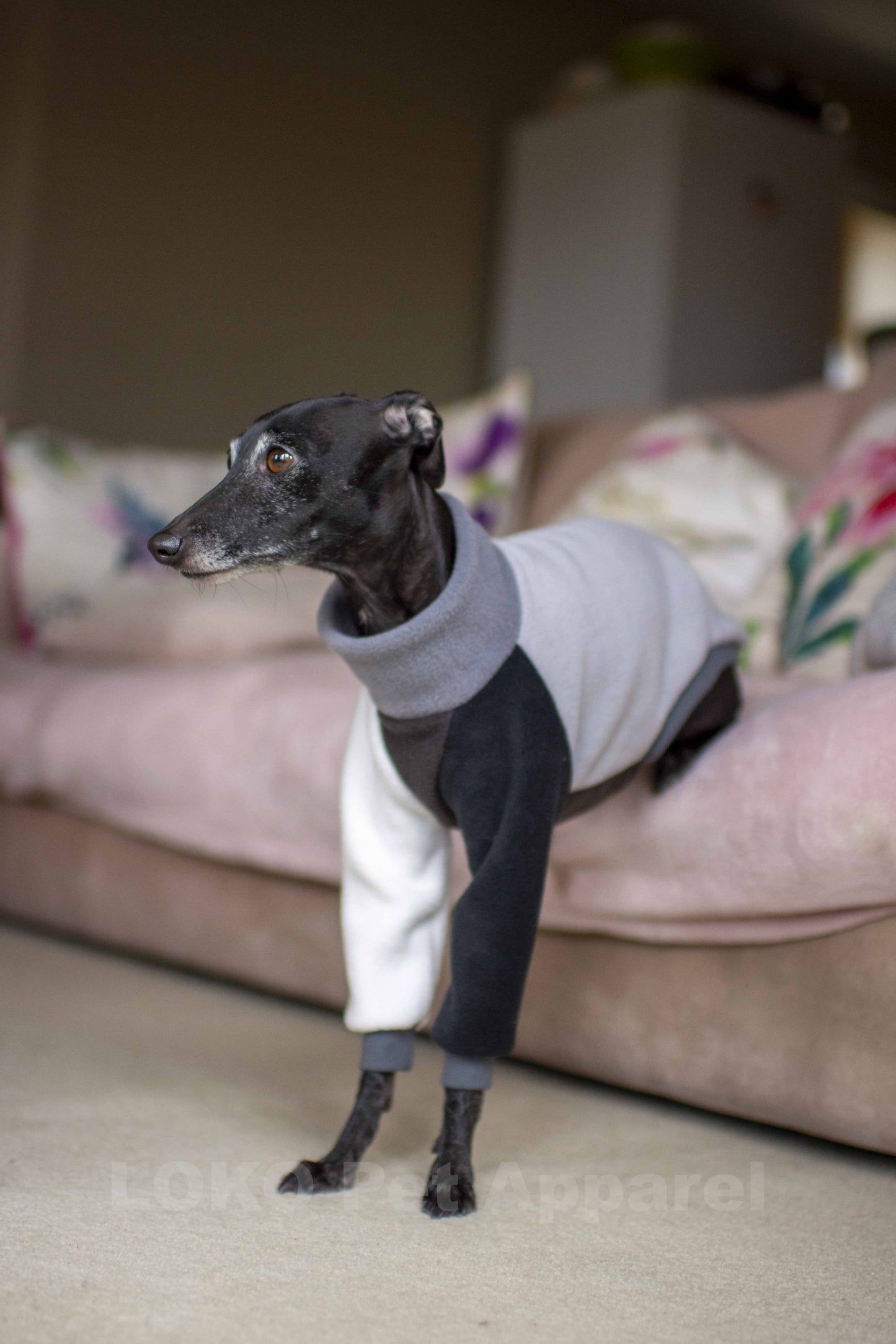 Colour Block Jumper