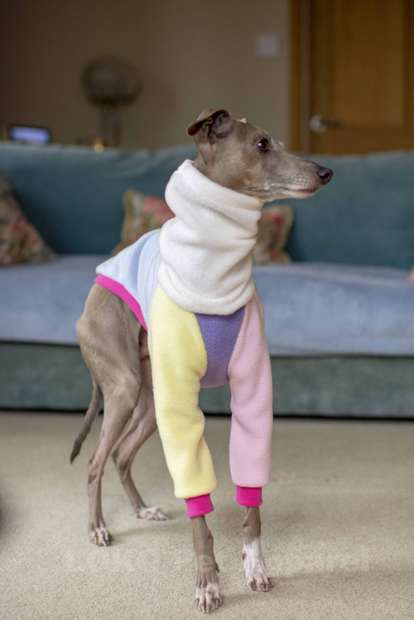 Colour Block Jumper