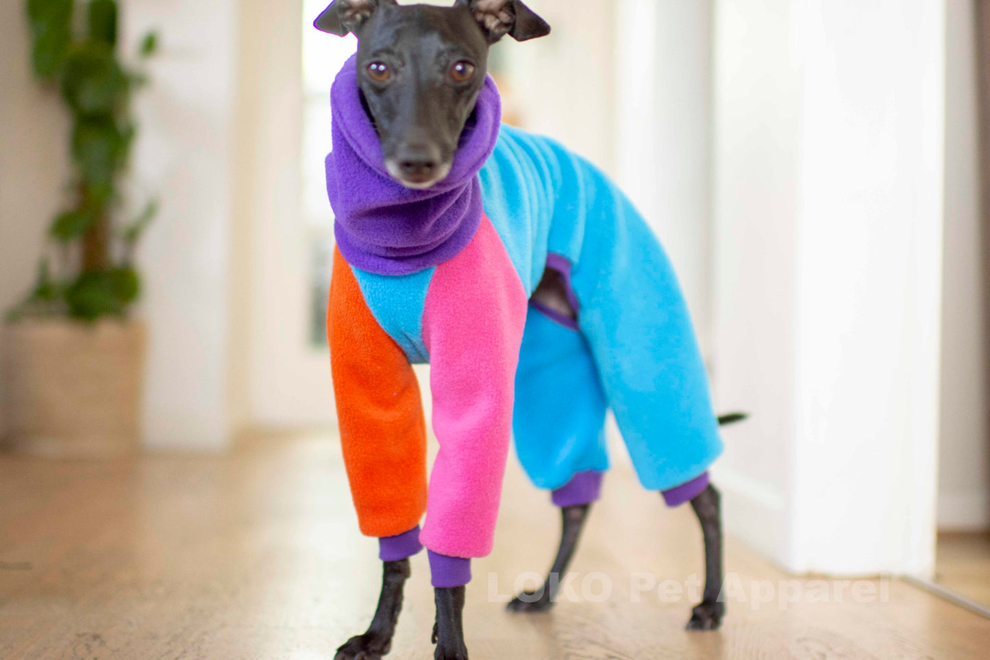 Colour Block Onesie