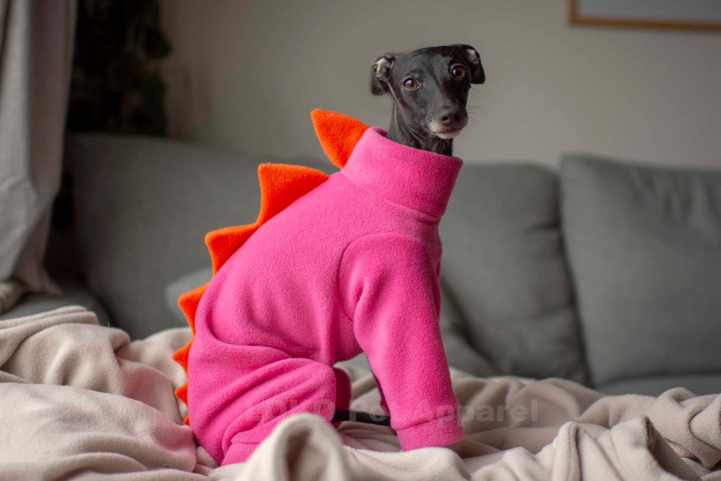 Puppy Dinosaur Onesie