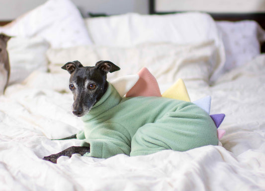Dinosaur Onesie Unicorn Edition