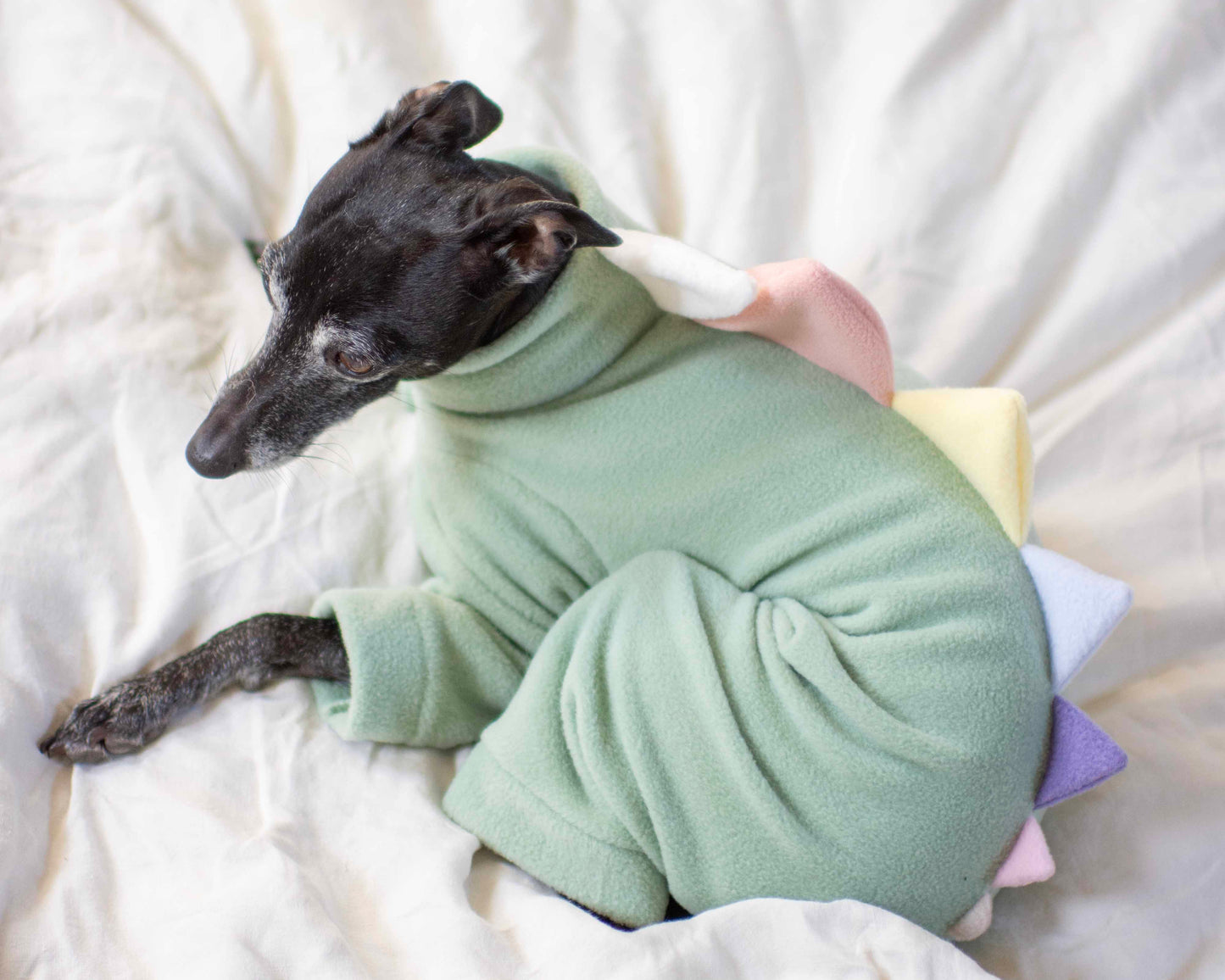 Dinosaur Onesie Unicorn Edition