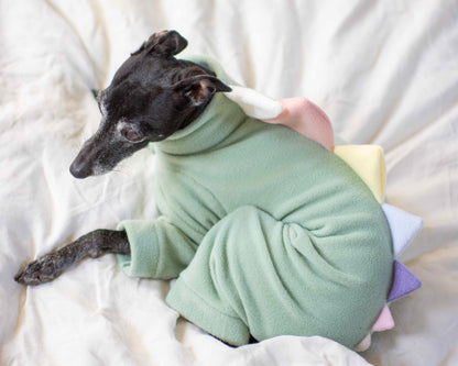 Dinosaur Onesie Unicorn Edition