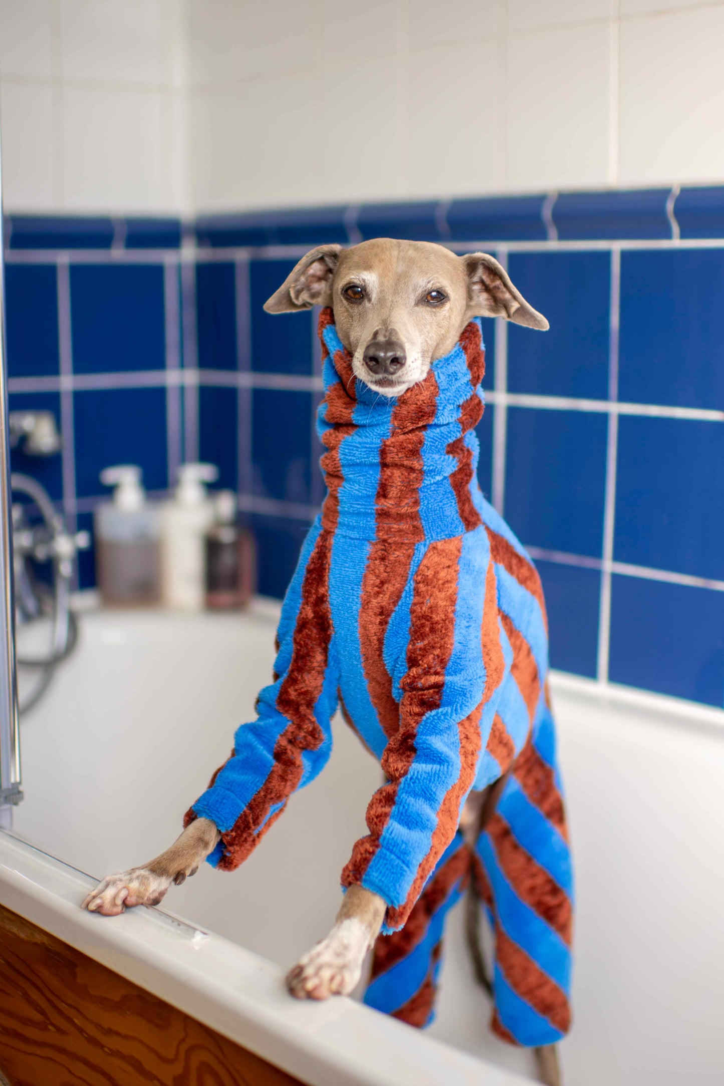 Towelling Onesies