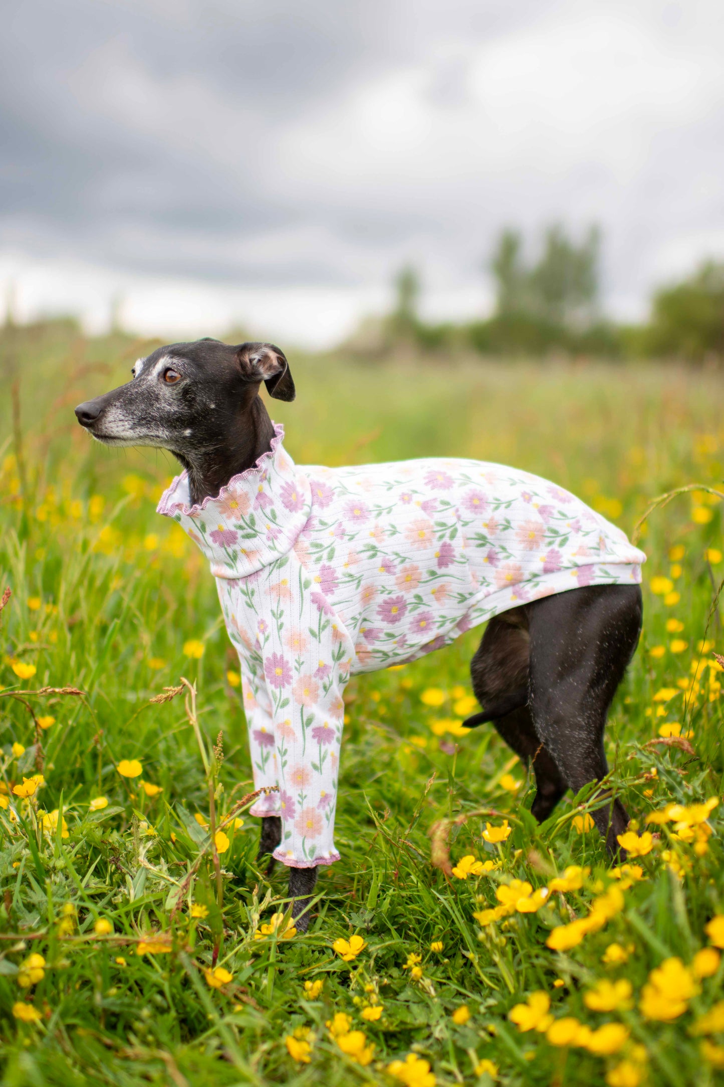Tulip Tops (Patterned)