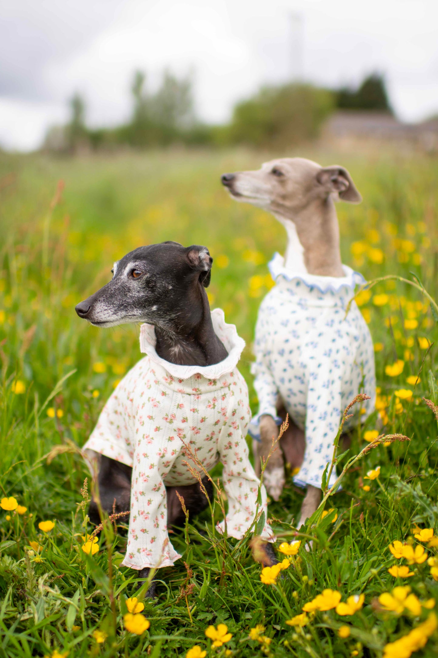 Tulip Tops (Patterned)