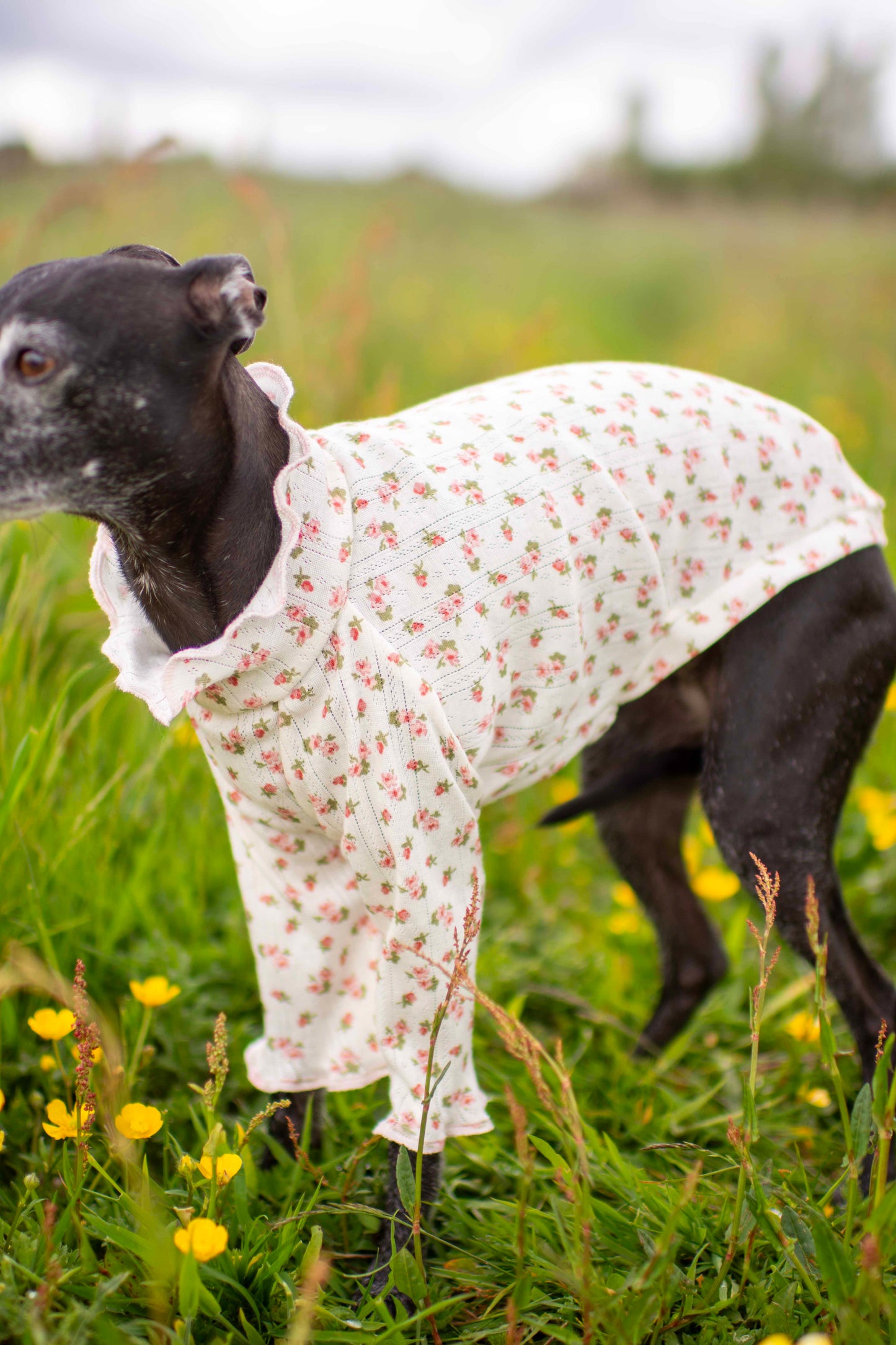 Tulip Tops (Patterned)
