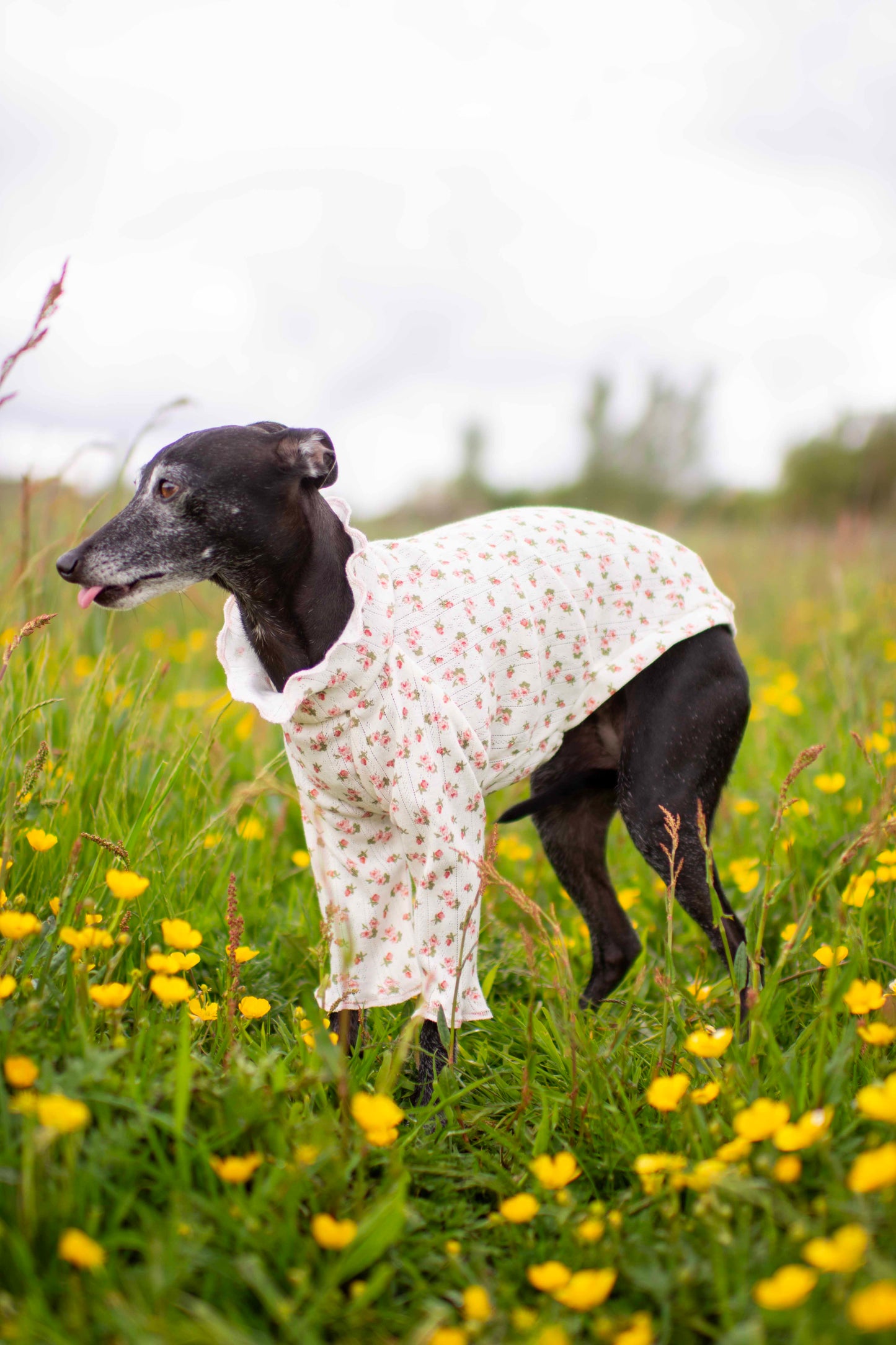 Tulip Tops (Patterned)