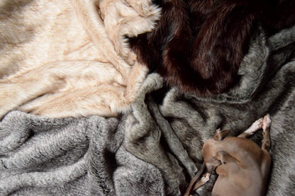 Italian greyhound blanket