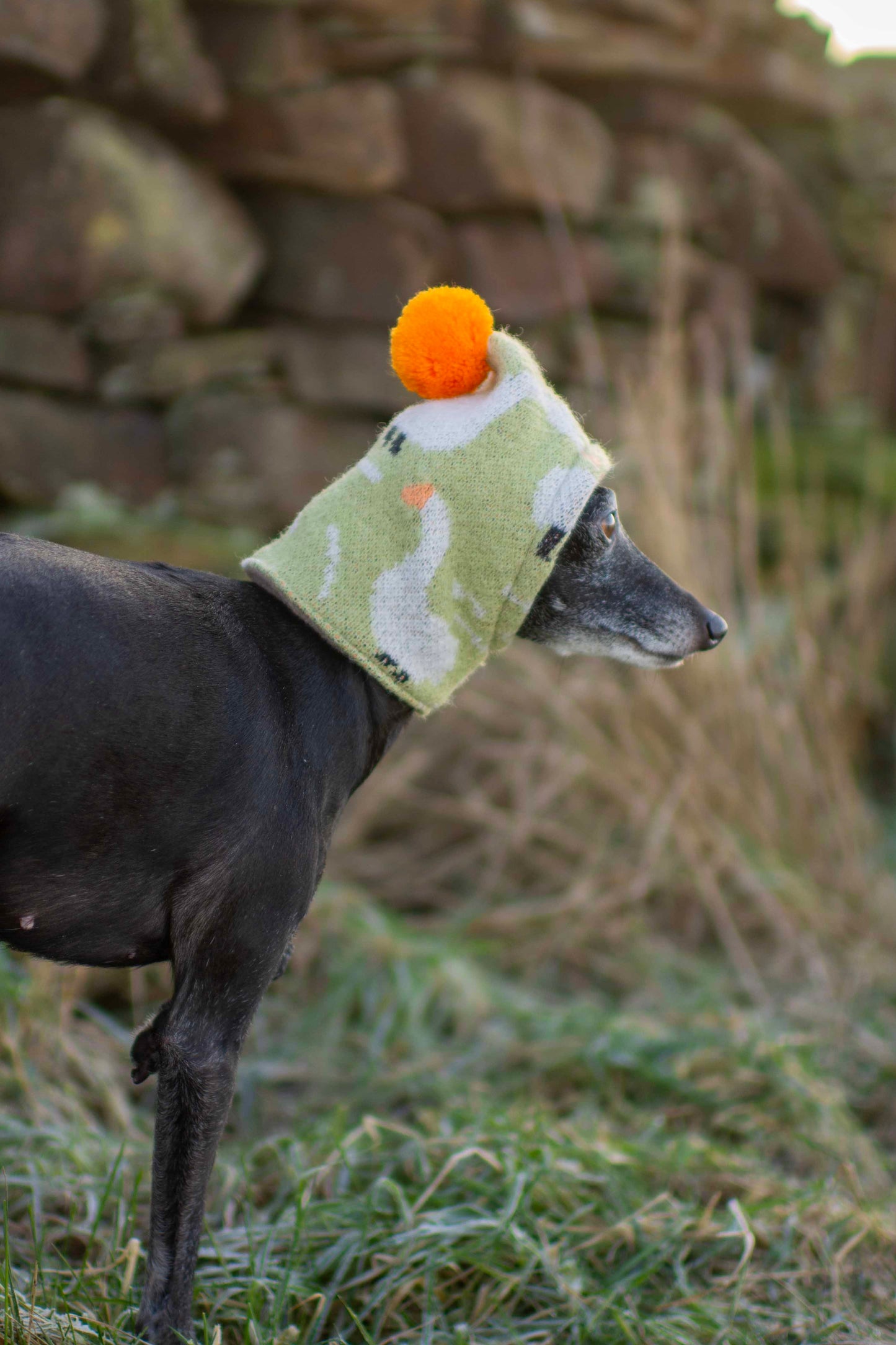 Pupcycle Hats
