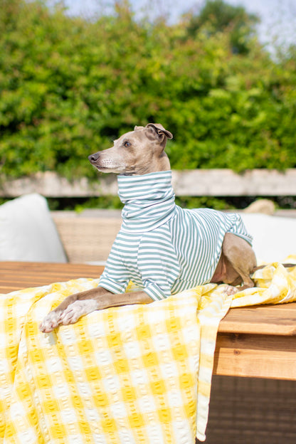 Jersey Striped Tops