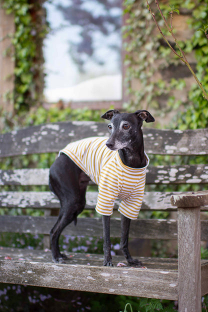 Jersey Striped Tops