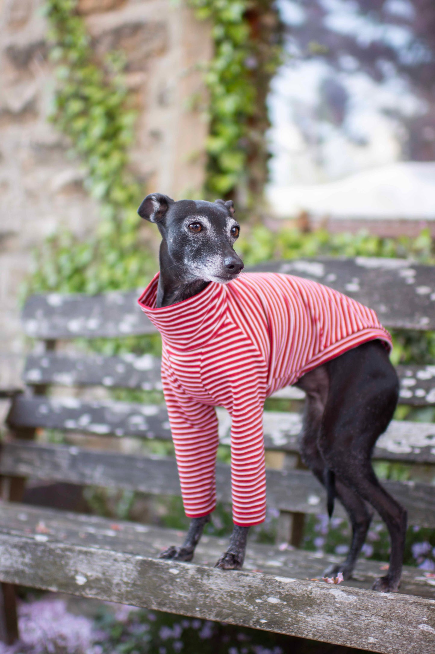 Jersey Striped Tops