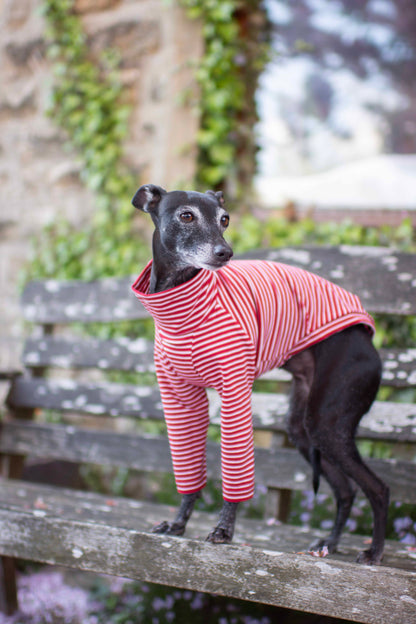 Jersey Striped Tops