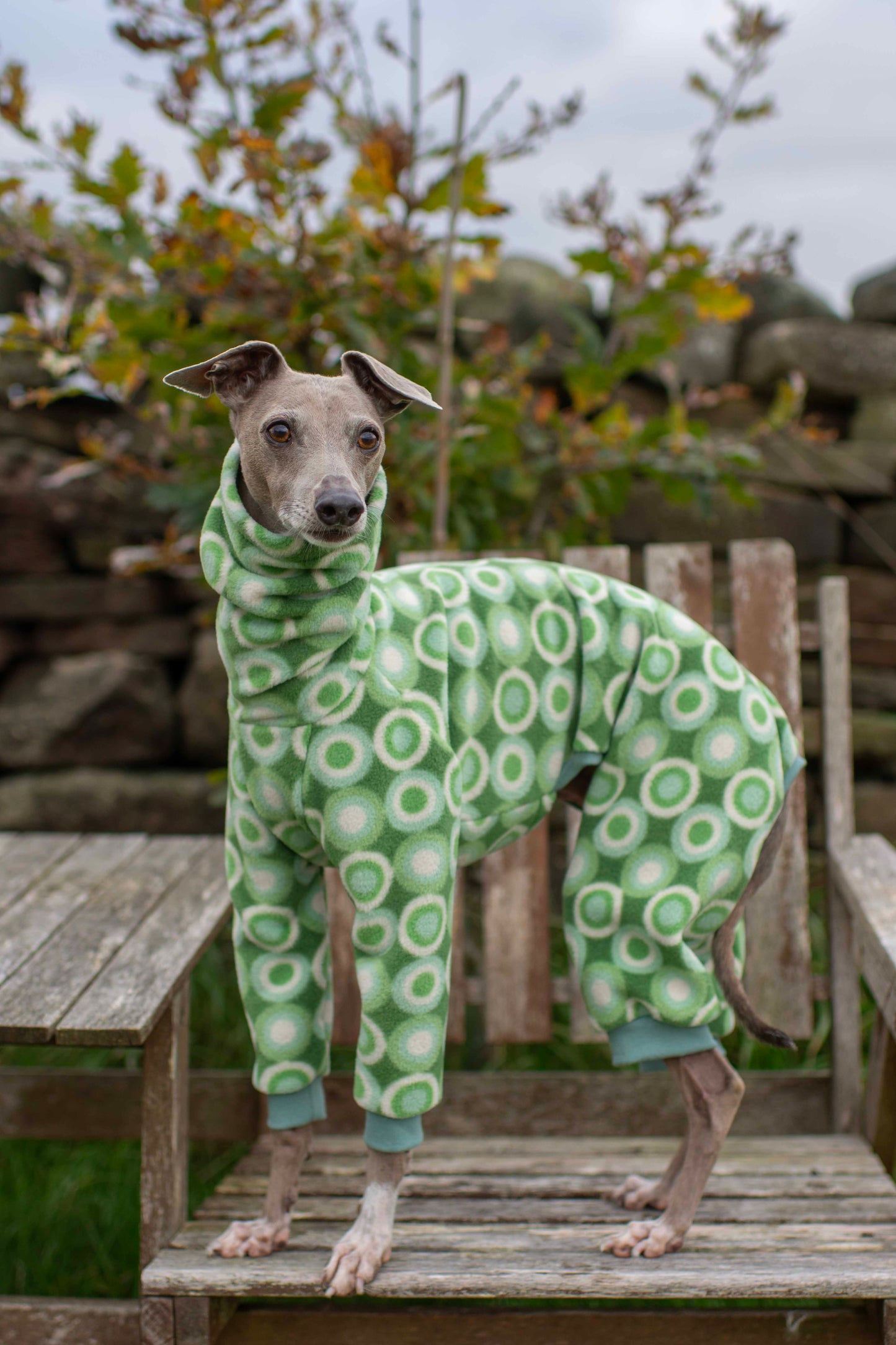 Limited Edition Patterned Fleece Onesie