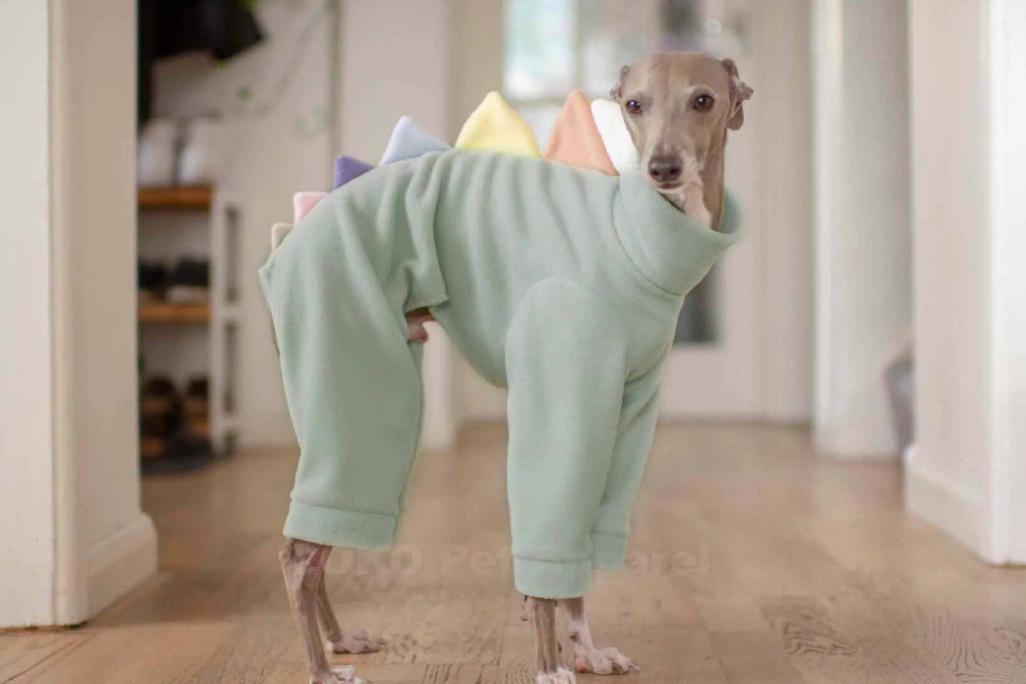 Dinosaur Onesie Unicorn Edition