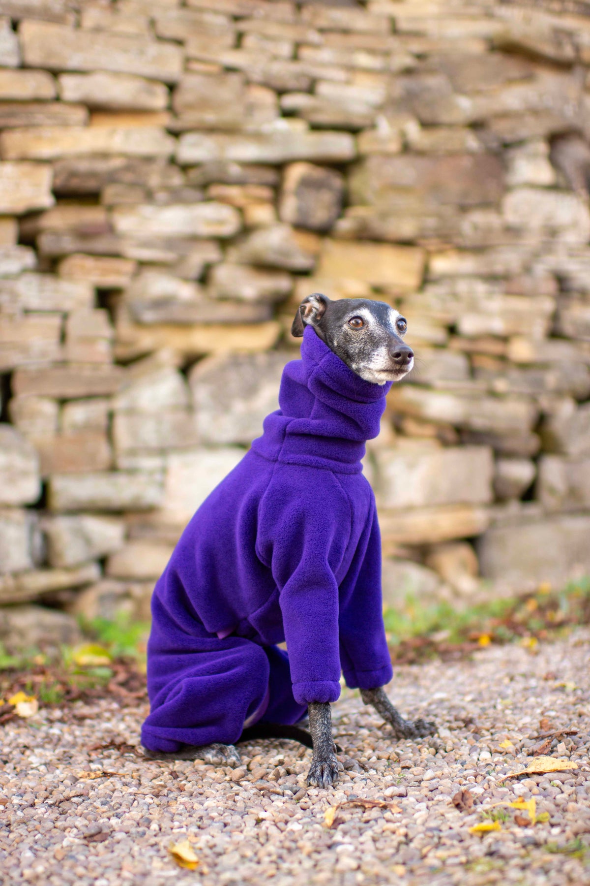 Polartec® 300 Fleece Onesie