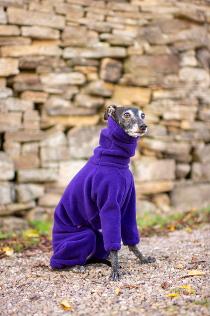 Polartec® 300 Fleece Onesie