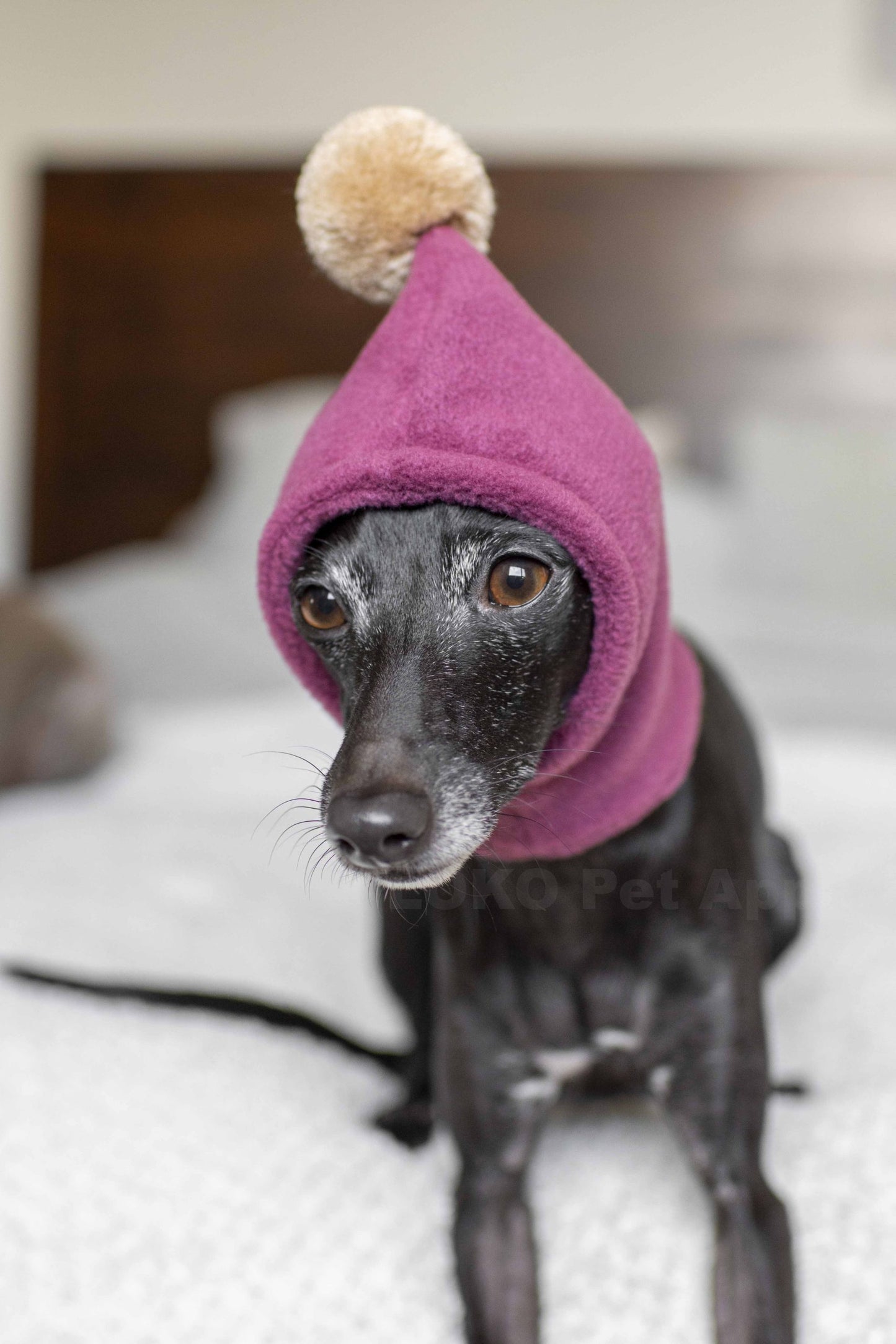 PomPom Fleece Hat