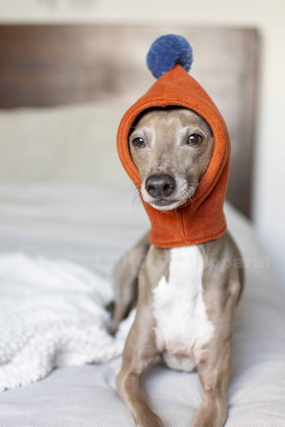 PomPom Fleece Hat