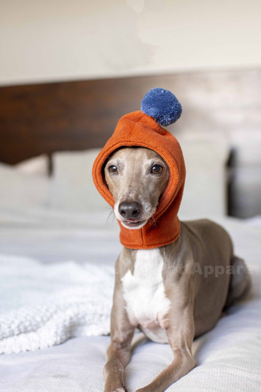 PomPom Fleece Hat