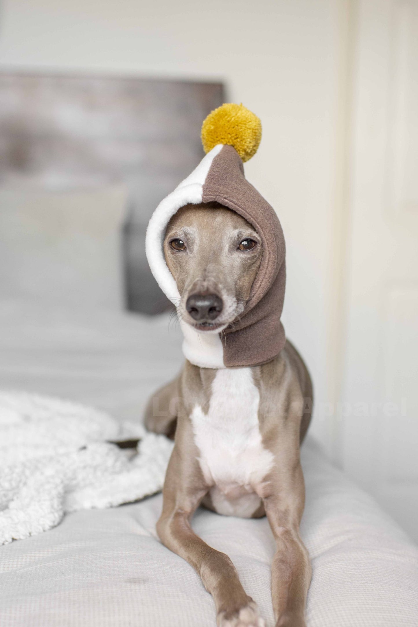 PomPom Fleece Hat