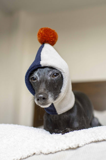 PomPom Fleece Hat