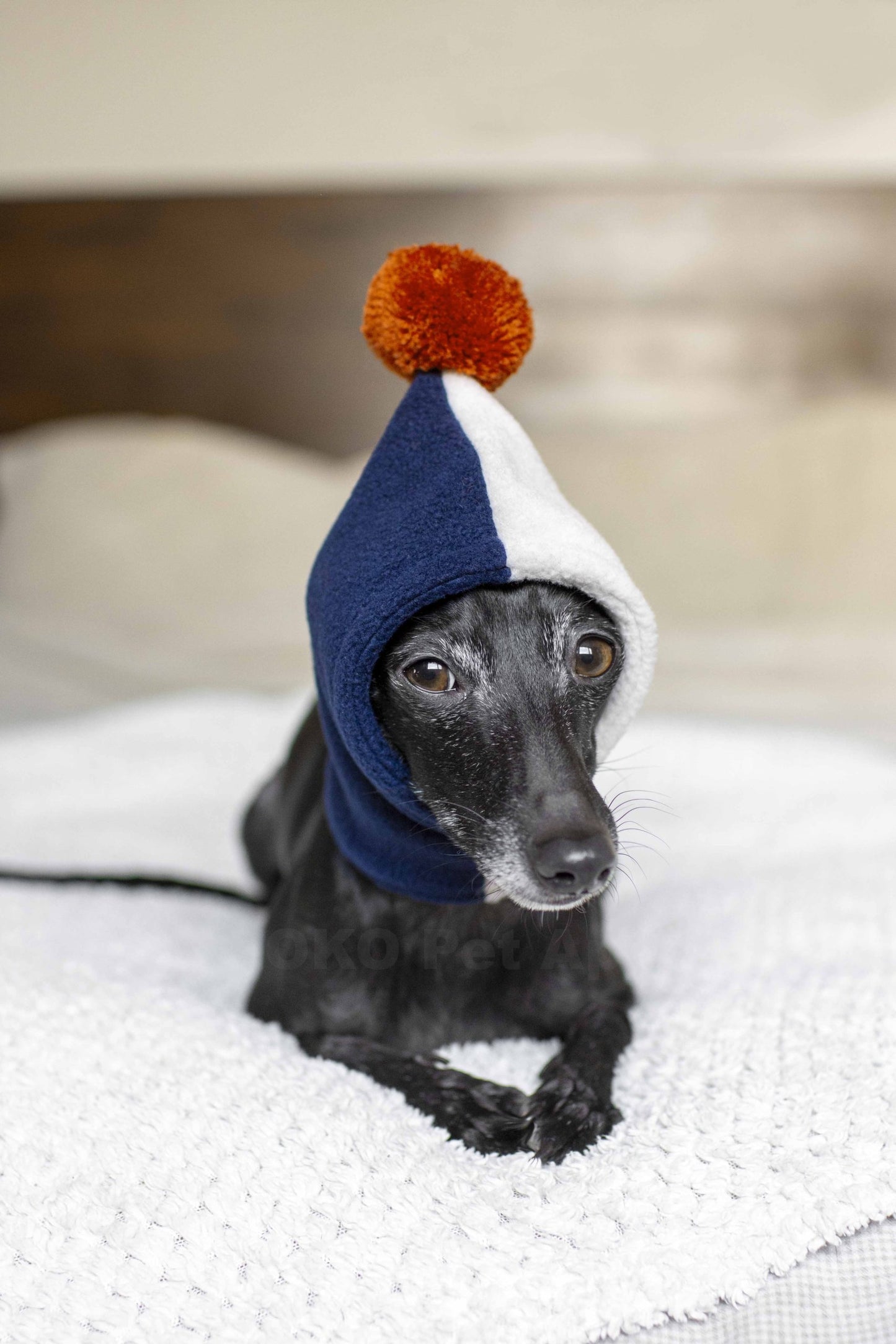 PomPom Fleece Hat