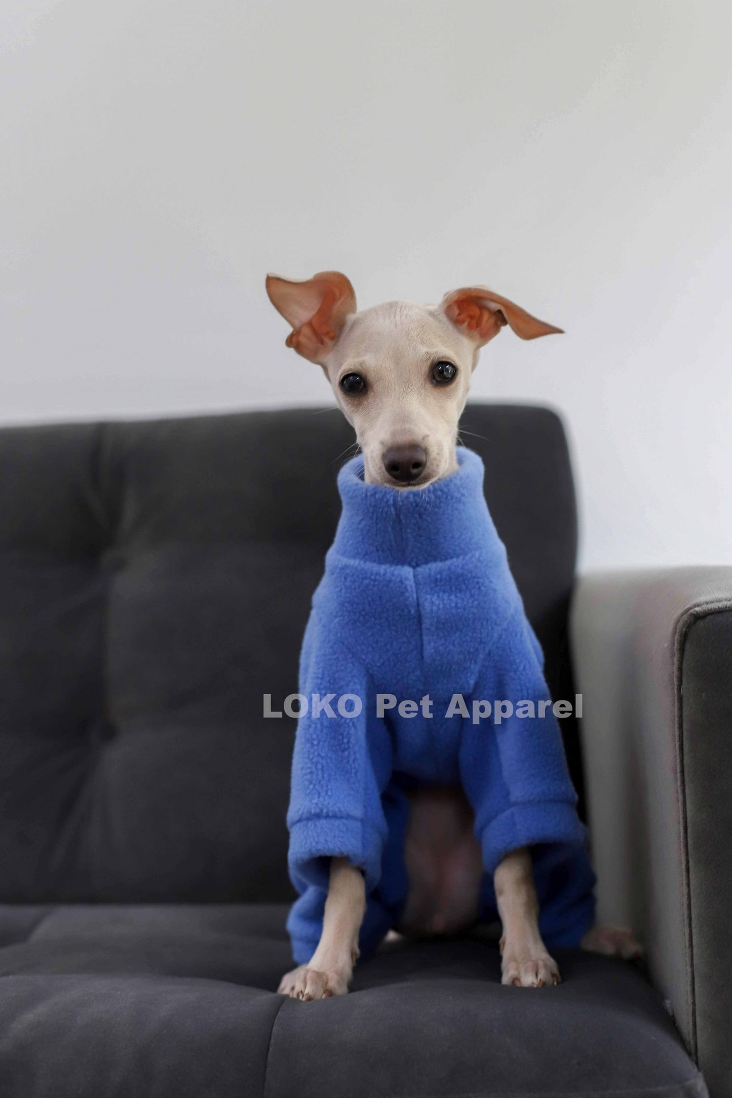 Puppy Fleece Basics